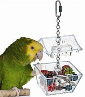 Parrots Treasure Chest - Toys for Tweets